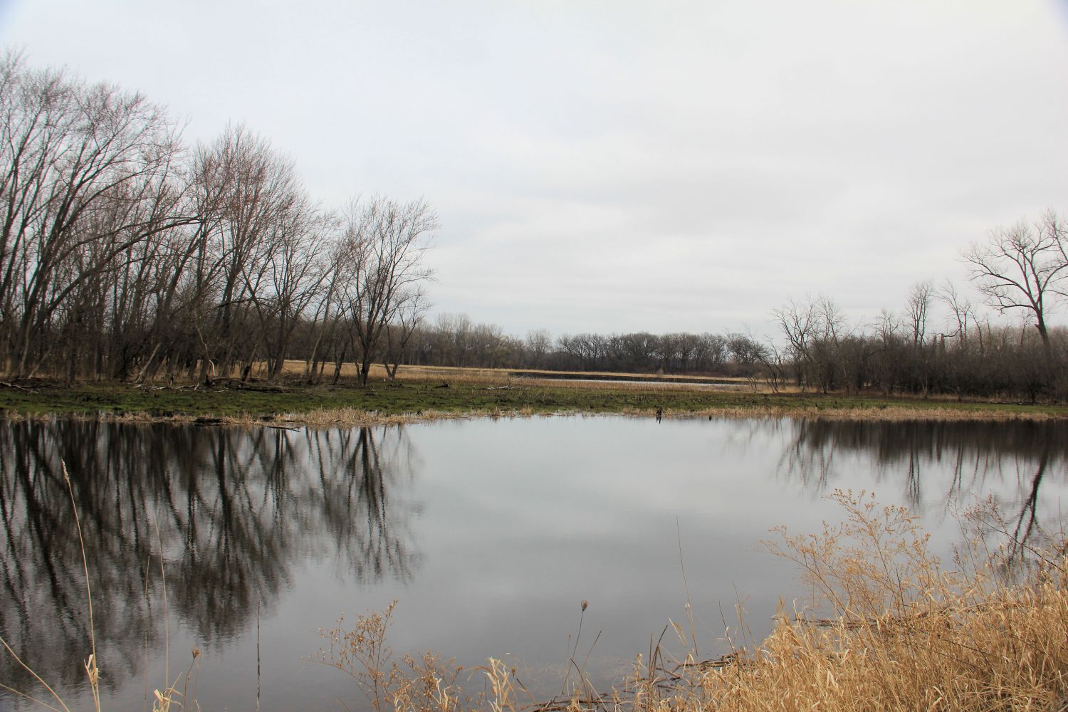 McHenry Dam State Park 